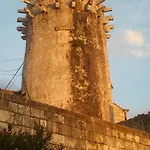 Tedy קורצולה