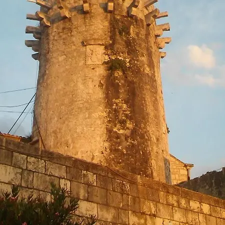 Tedy Korčula