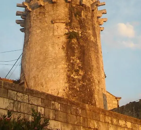 Tedy Korčula